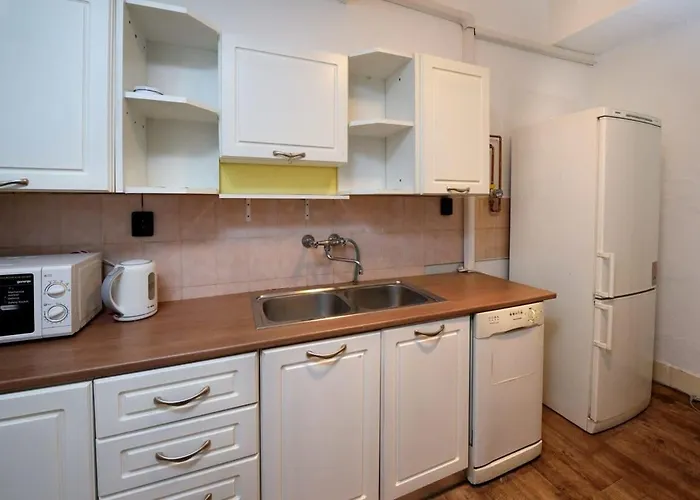 Spacious Basic Home In The City Center